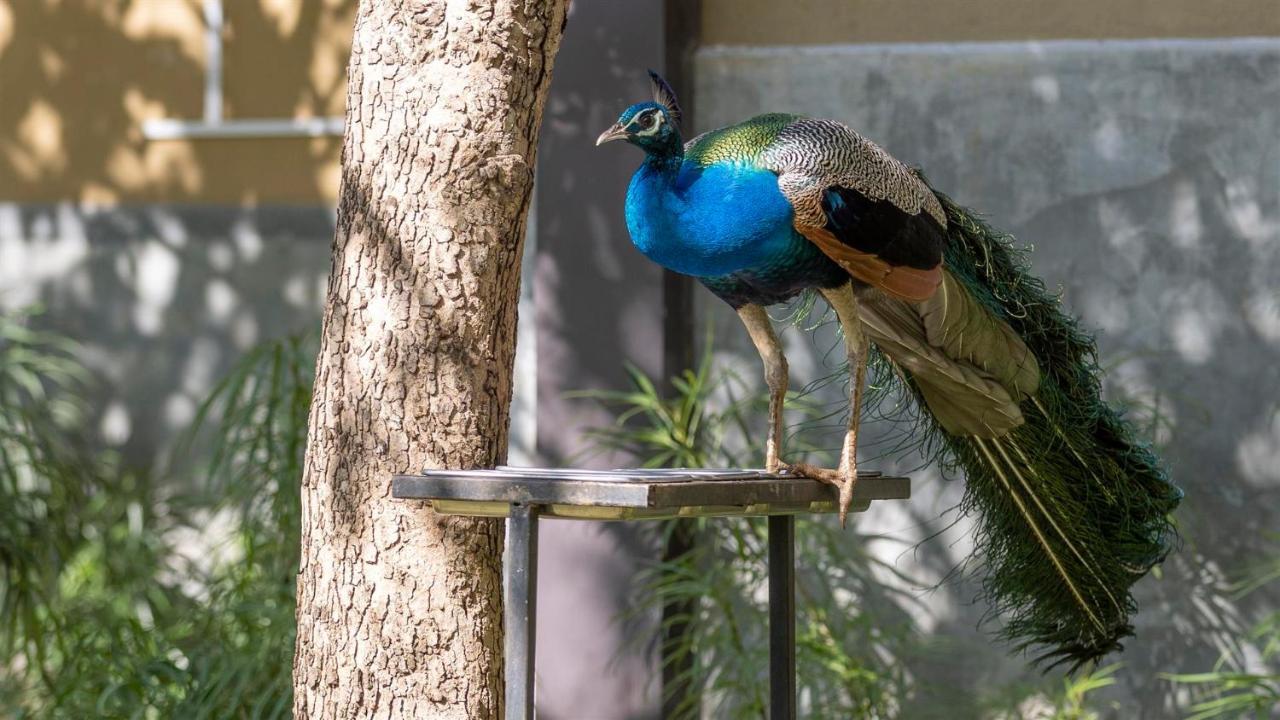 Birds Resort Hambantota Exteriör bild