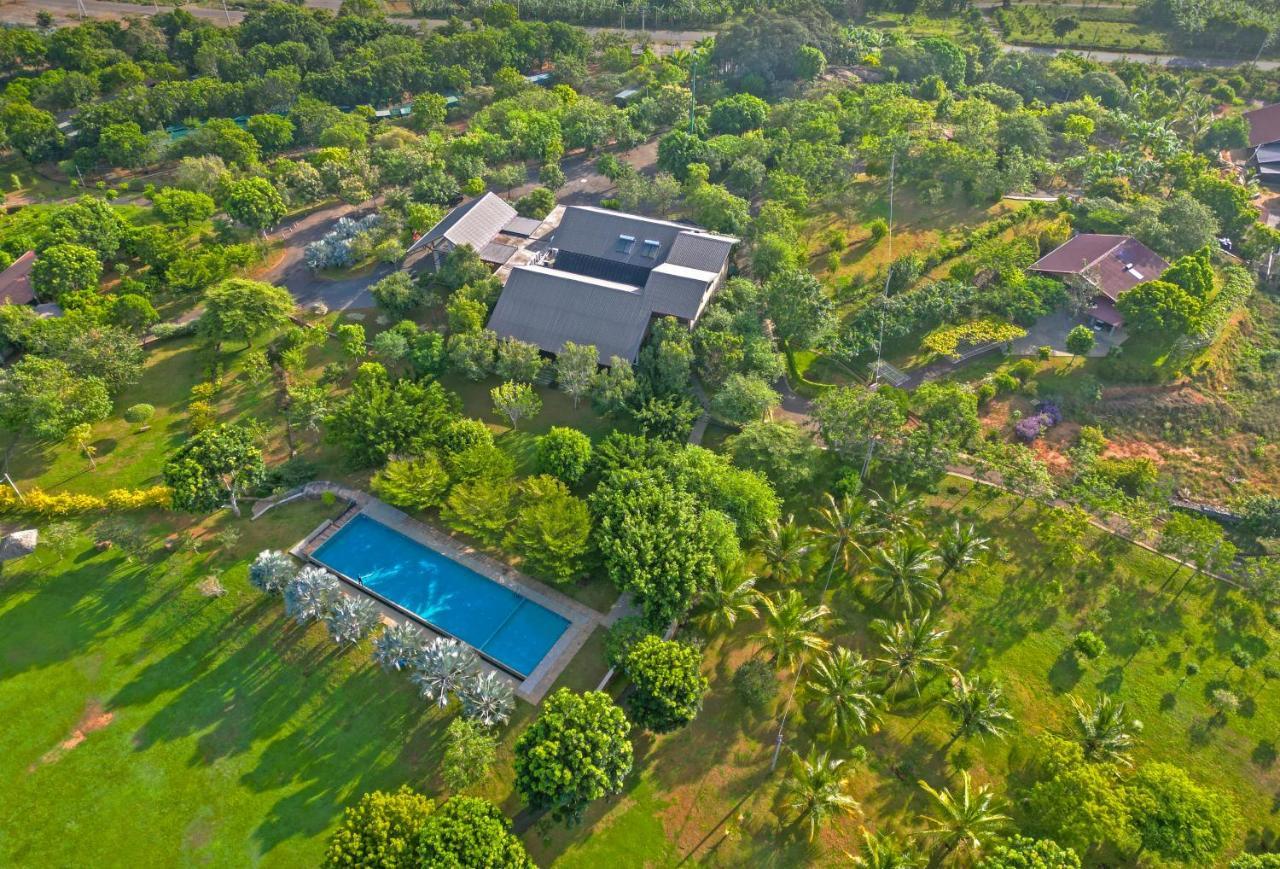 Birds Resort Hambantota Exteriör bild