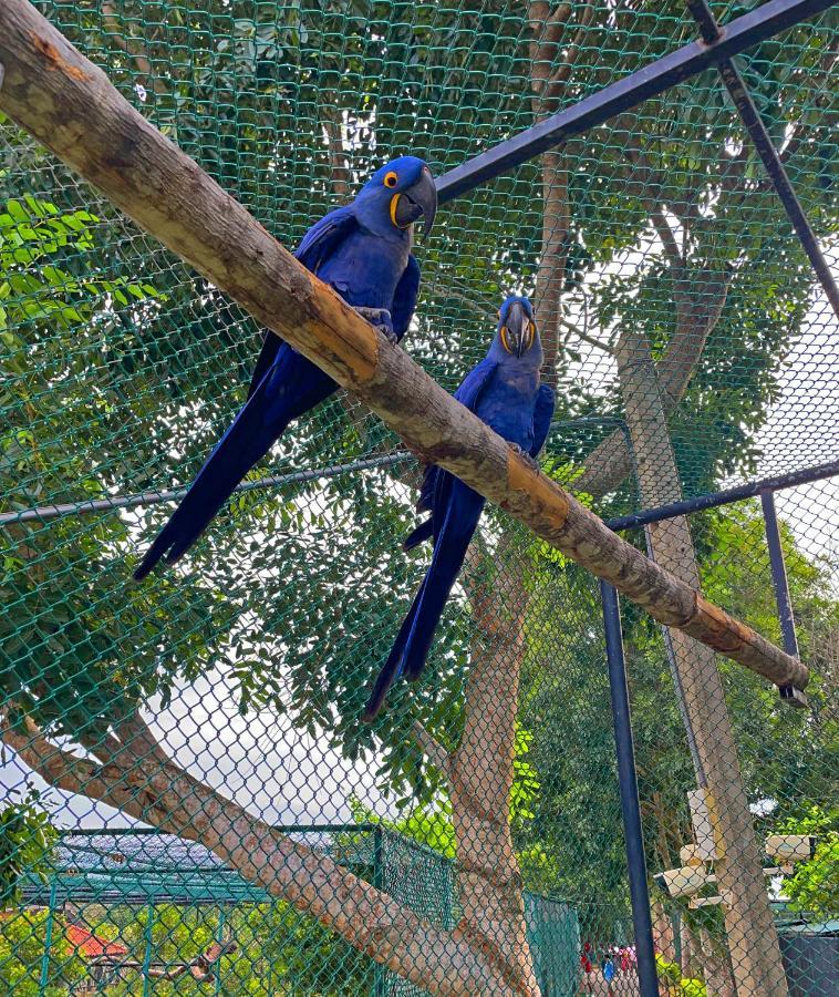 Birds Resort Hambantota Exteriör bild